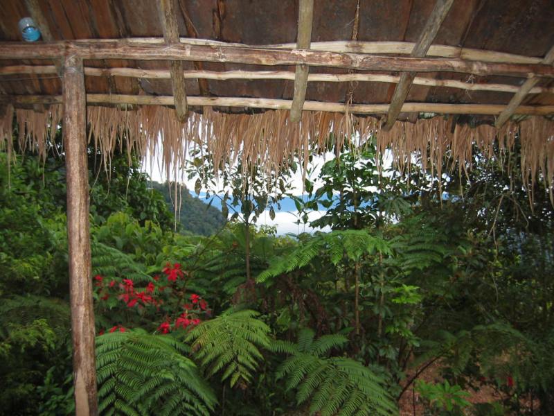 Women’s Scholarship in Political&nbsp;Ecology